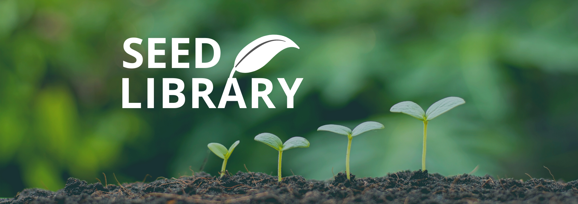 Seed library banner (1980 × 702px)