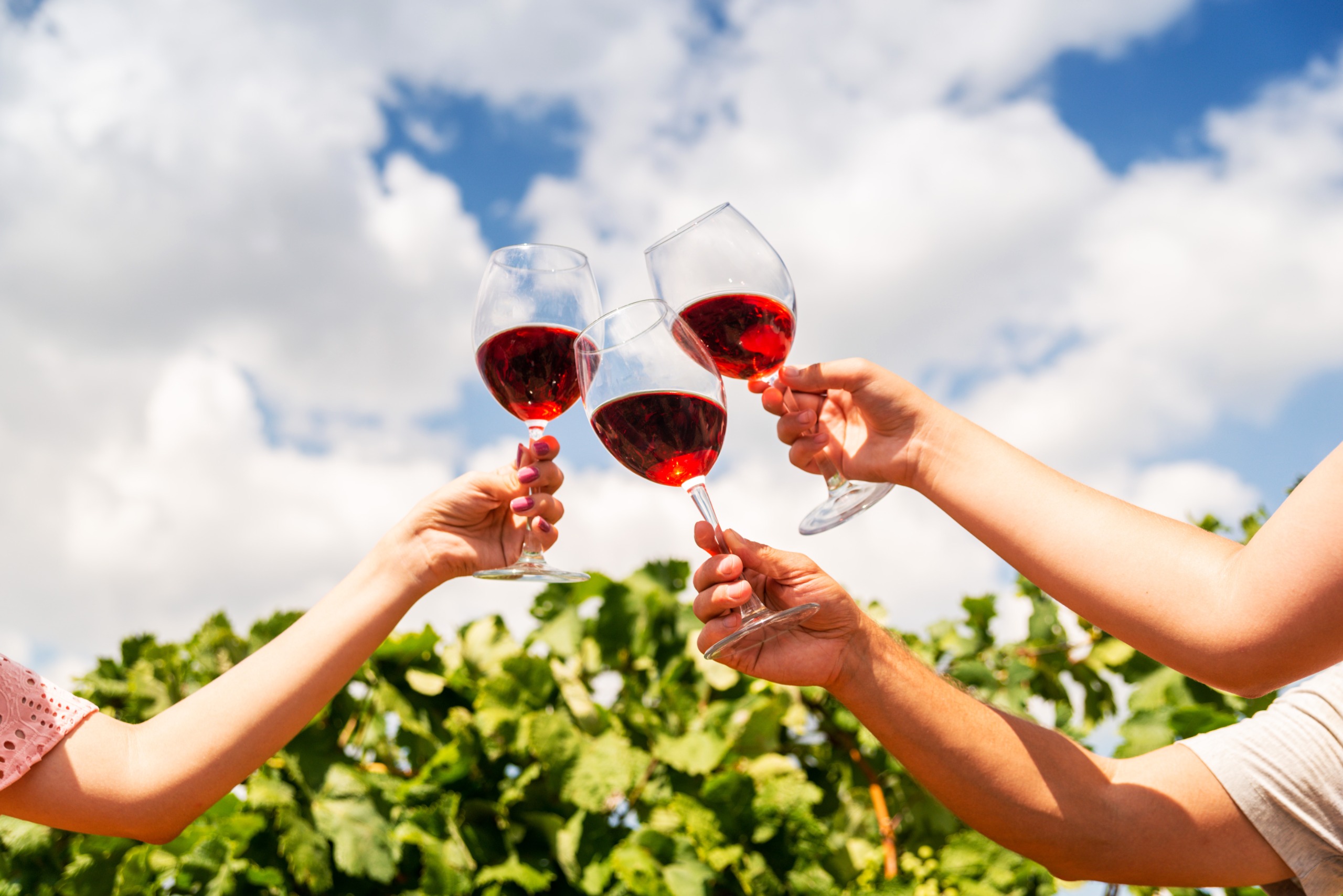 People toasting with wine