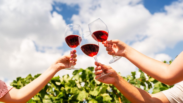 Alc Bylaw pic People toasting with wine