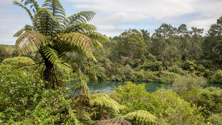 MicrosoftTeams-image_1