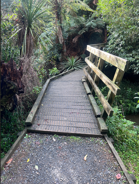 Newstead Walkway footbridge