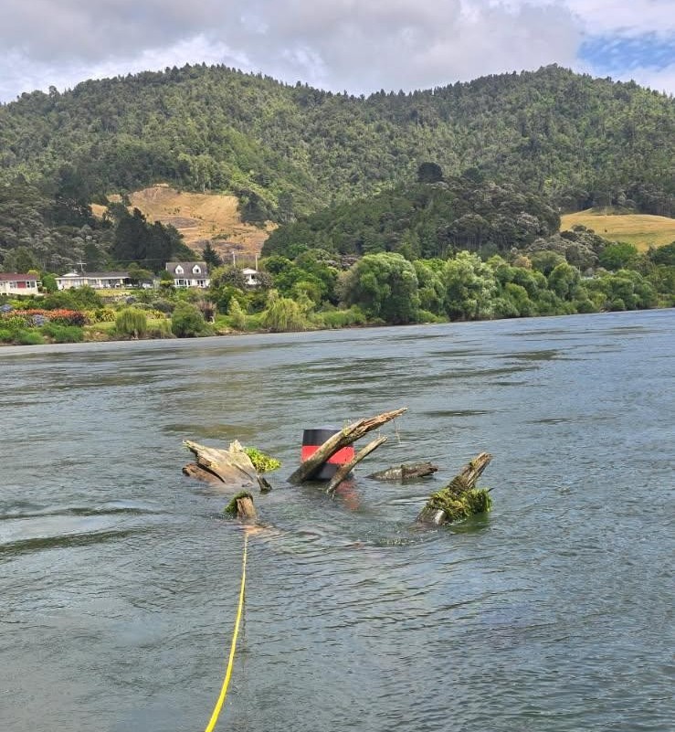 Tree in river being craned out