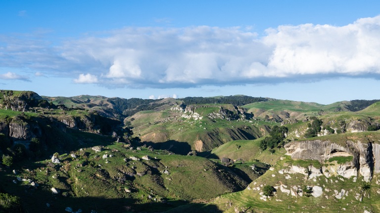 WDC_Photography-SJP-74