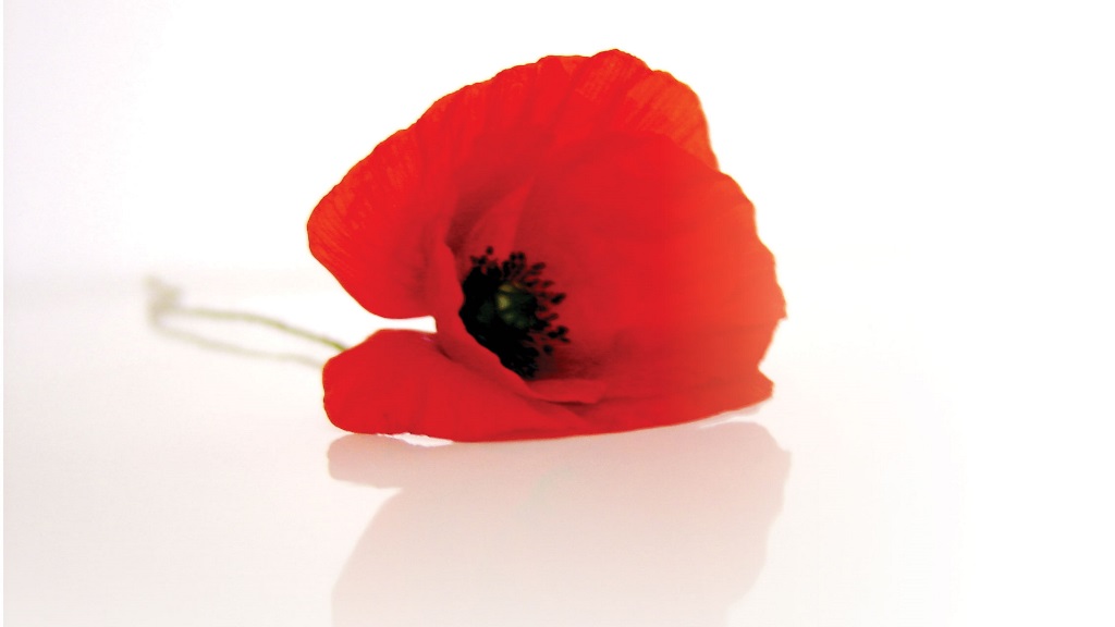 ANZAC-poppy ANZAC-poppy