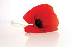 ANZAC-poppy ANZAC-poppy
