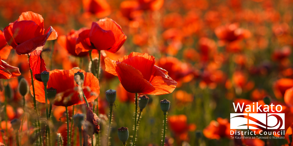ANZAC ANZAC