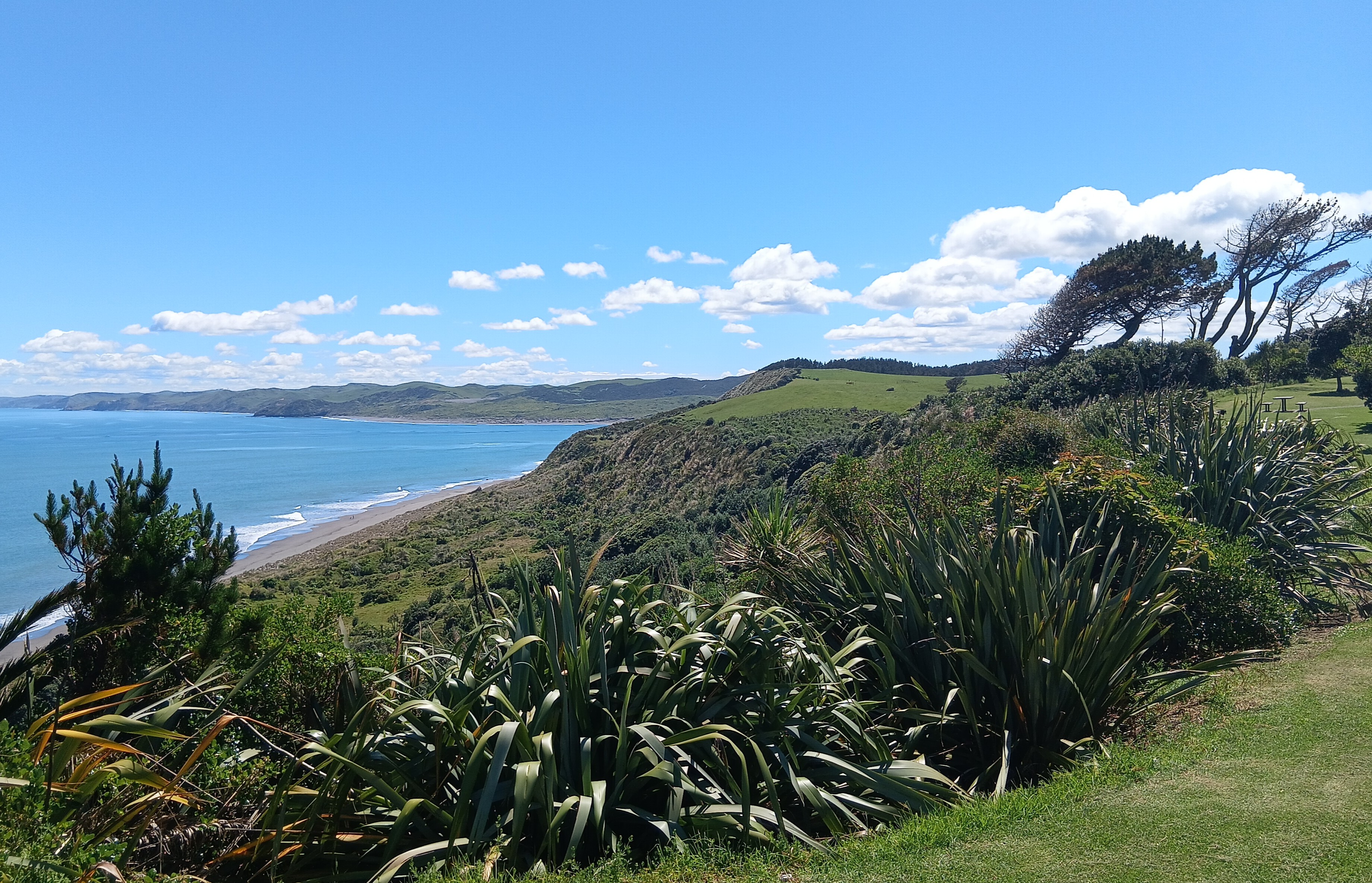 Wainui Reserve, Raglan