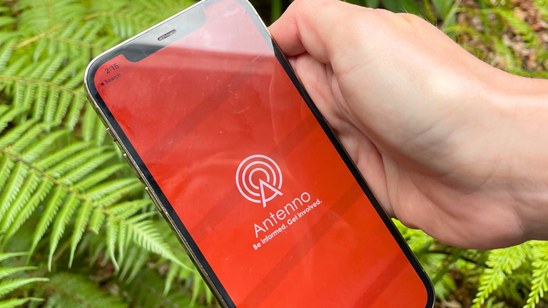 A smart phone displaying the Antenno app while being held over a lush garden a ferns.