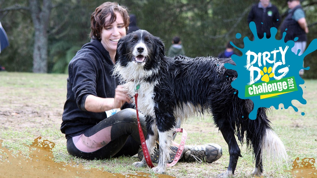 Dirty_Dog_Chall_16x9 Dirty_Dog_Chall_16x9