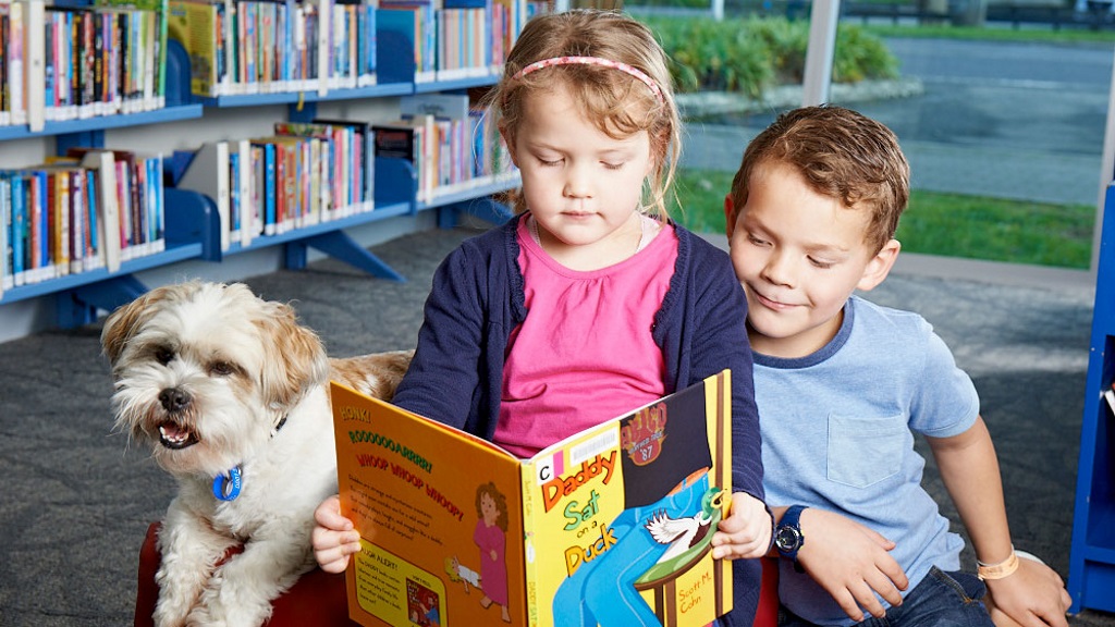 Dogs in libraries Dogs in libraries programme
