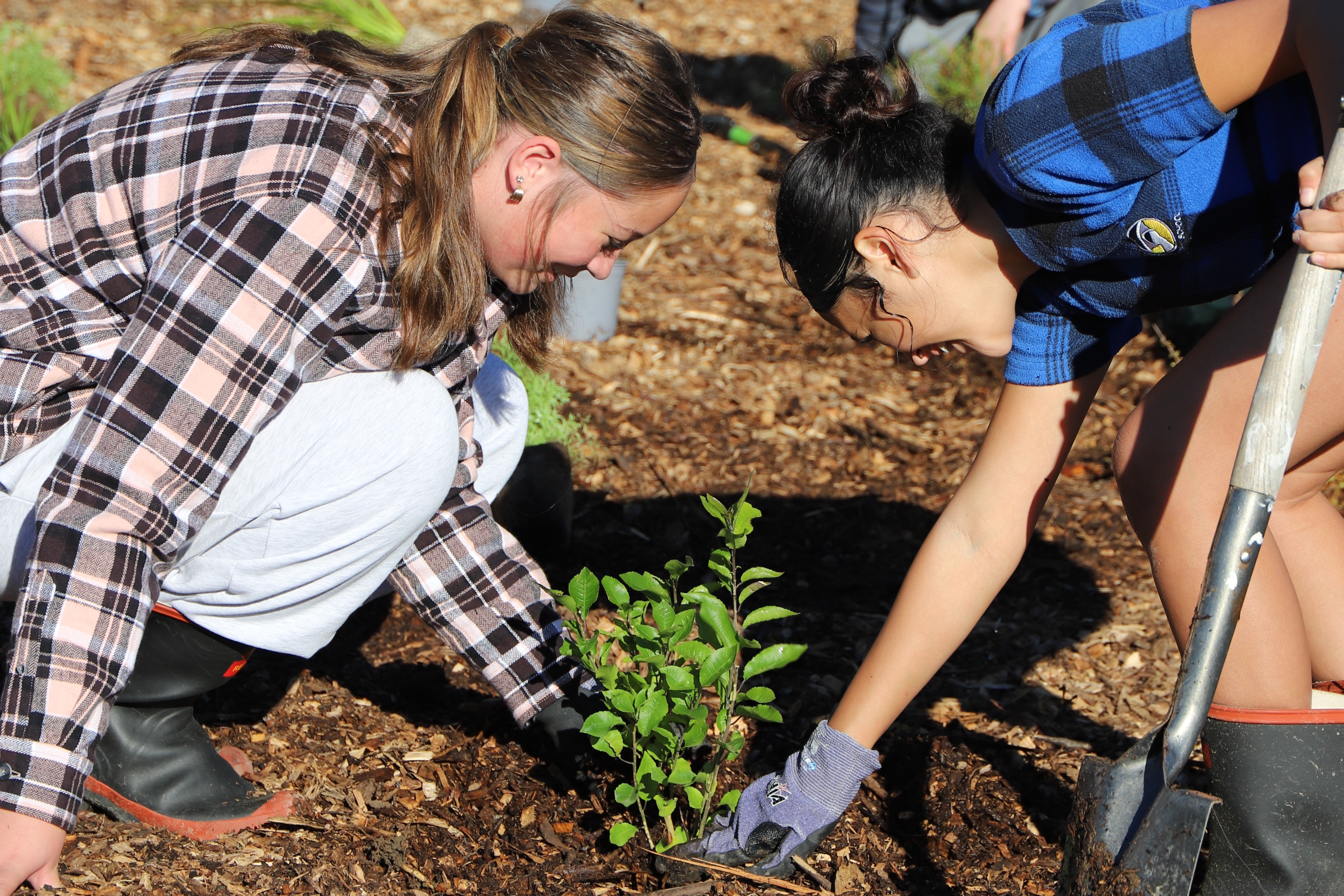 Two people smiling as they plant a small green shrub in a garden. They wear plaid shirts and gloves, surrounded by soil and plant containers.