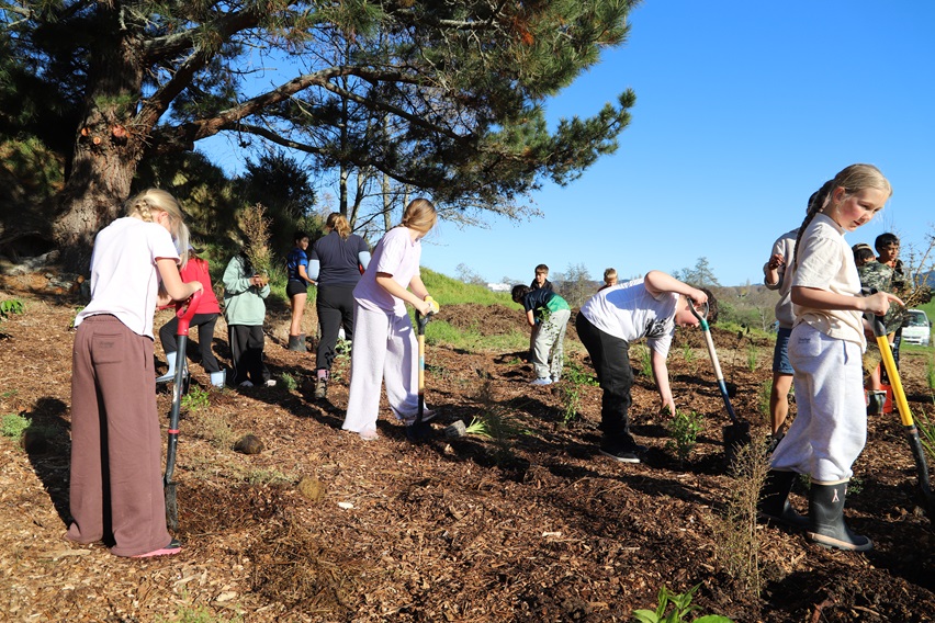 A group of young people is planting trees on a sunny day under a large tree. They are using shovels and wearing casual outdoor clothing.