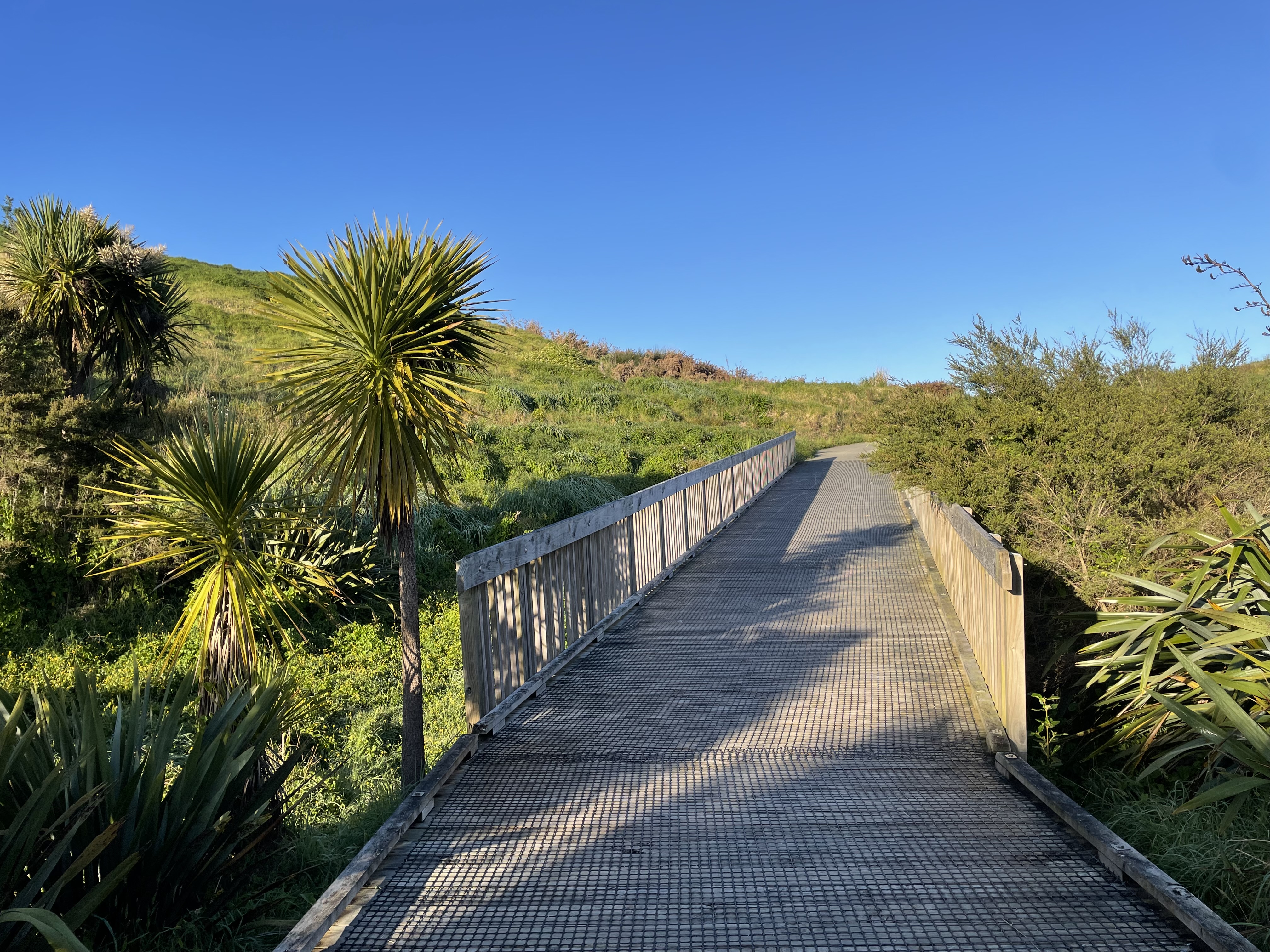 Boardwalk leading to Lorenzen Bay Reserve