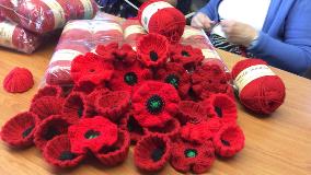 Knitted ANZAC poppies
