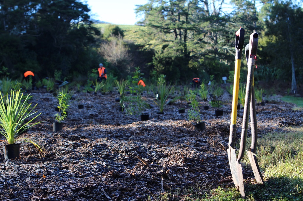 Les Batkin Reserve planting