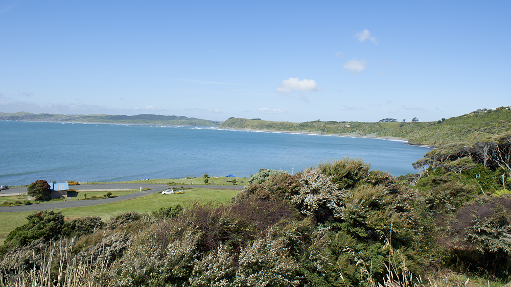 Manu Bay, Raglan