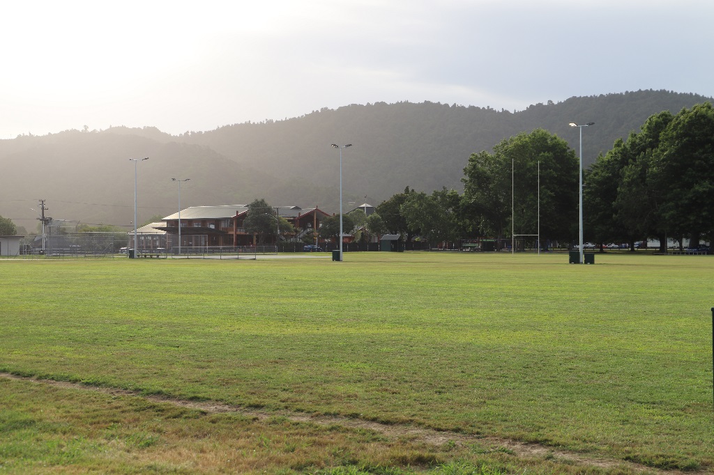 Paterson Park lights