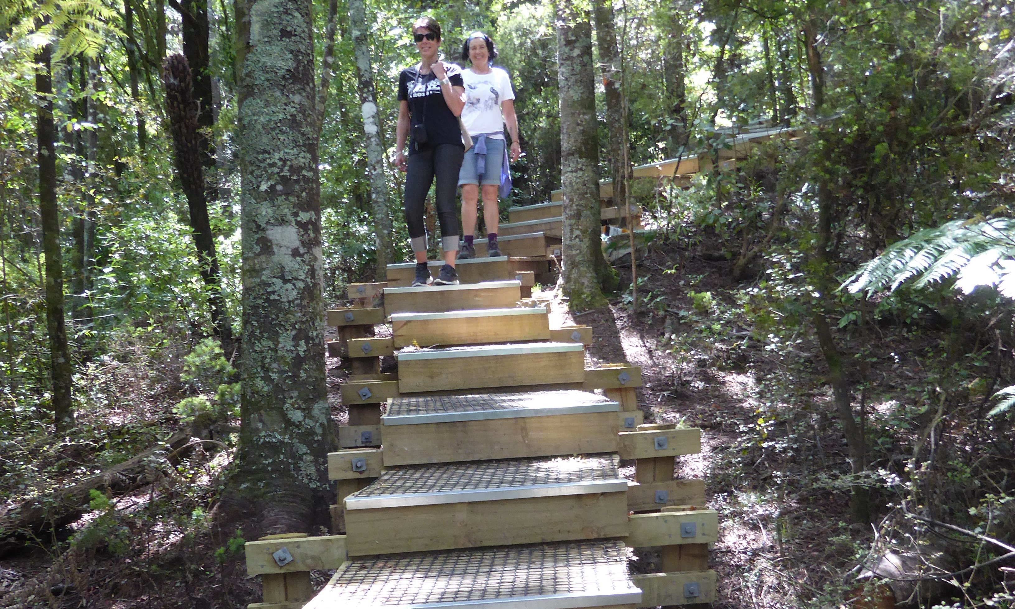 pukemokemoke boardwalk1