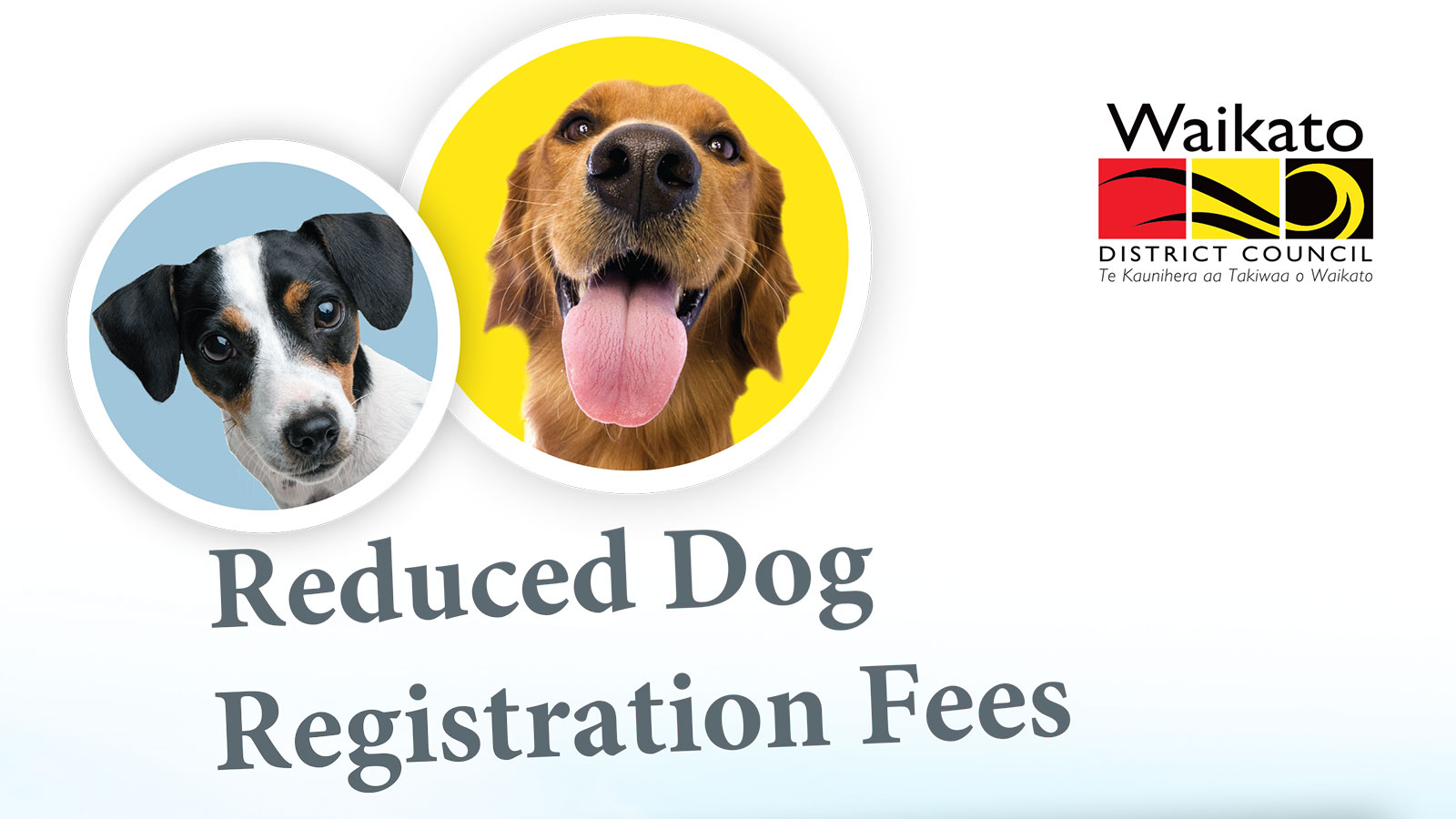Reduced dog registration fees