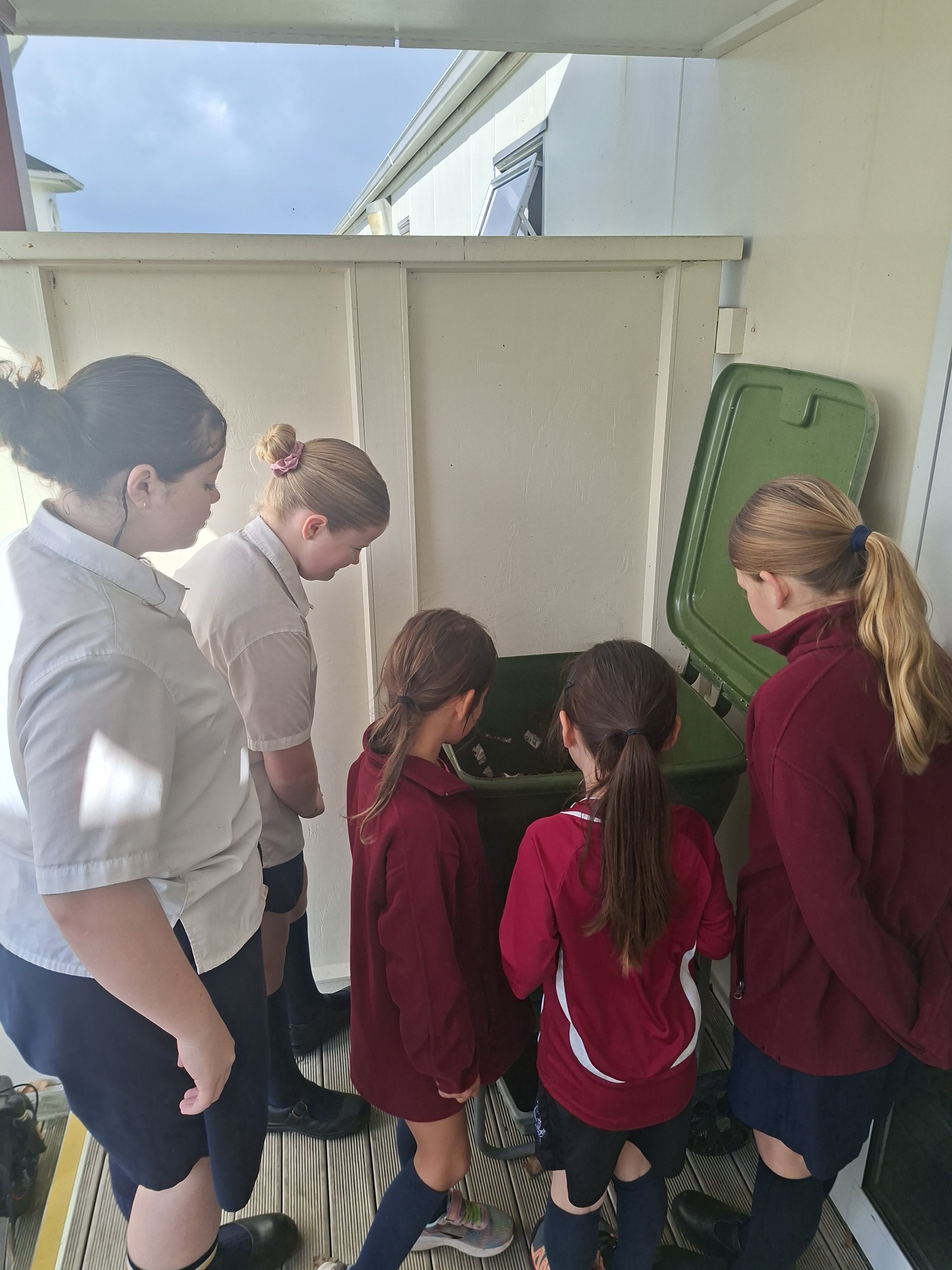 Children at St Paul's School Ngaaruawaahia looking into their worm farm bin