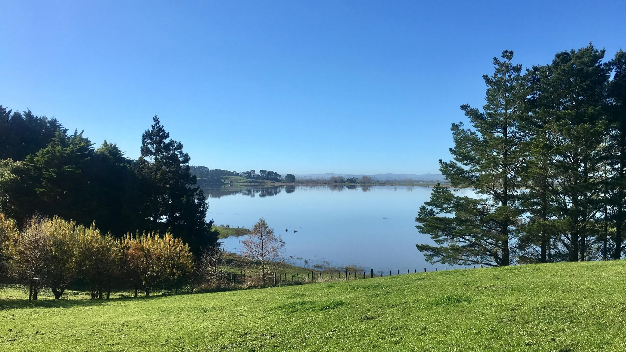 Sunny hillside lawn slopes toward a calm lake, framed by trees and shrubs under a clear blue sky; peaceful pastoral landscape view.