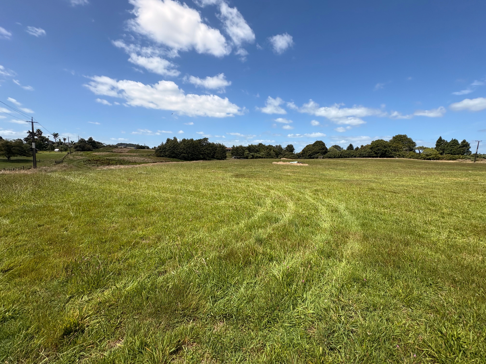 Grass field in foreground, with trees in the background, set against a blue sky