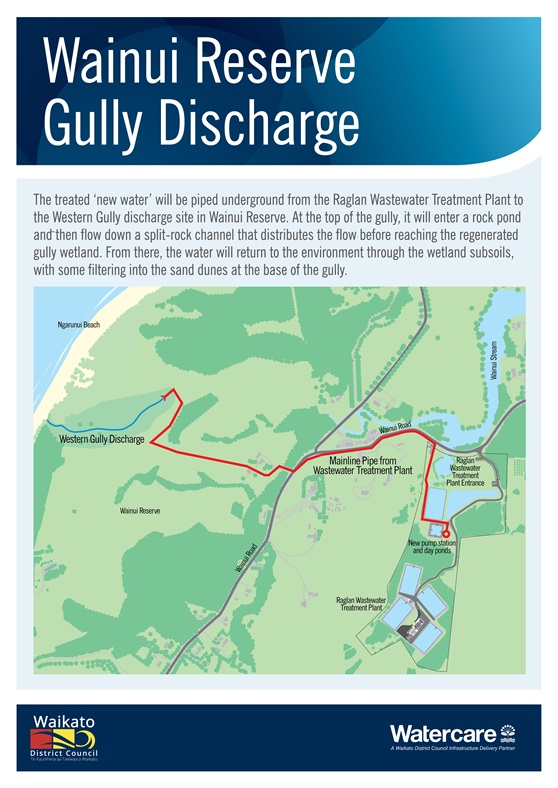 Raglan Wainui Reserve Gully Discharge