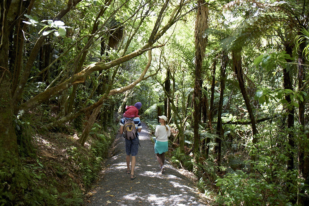 Bridal Veil Falls scenic walk is located near Raglan in the Waikato