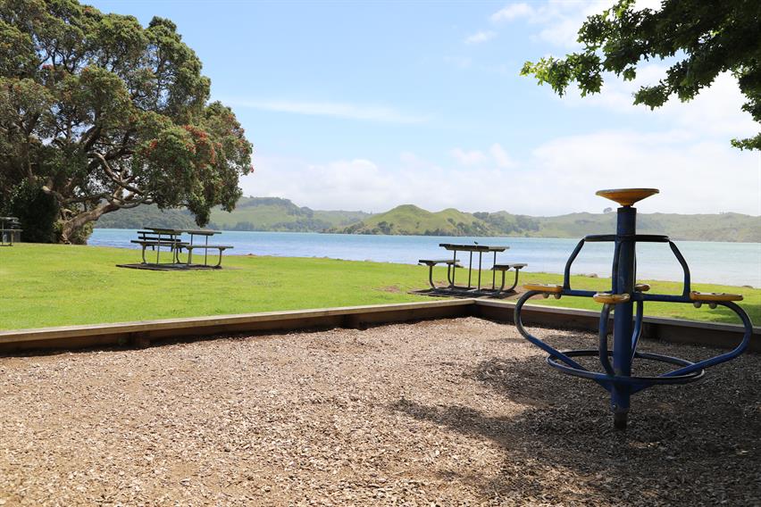 Raglan Puriri Playground