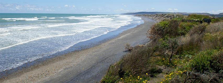 Port Waikato coastal reserve