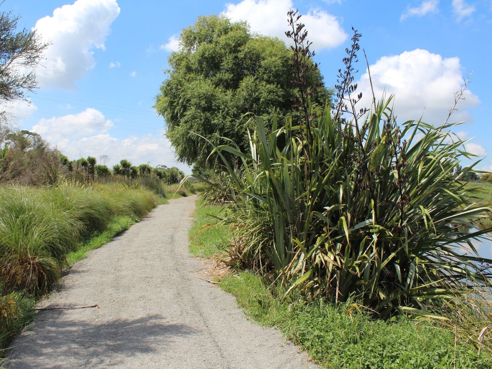 LakeKainui