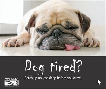 Road Safety Campaign - Dog tired