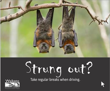 Road safety campaign - Strung out