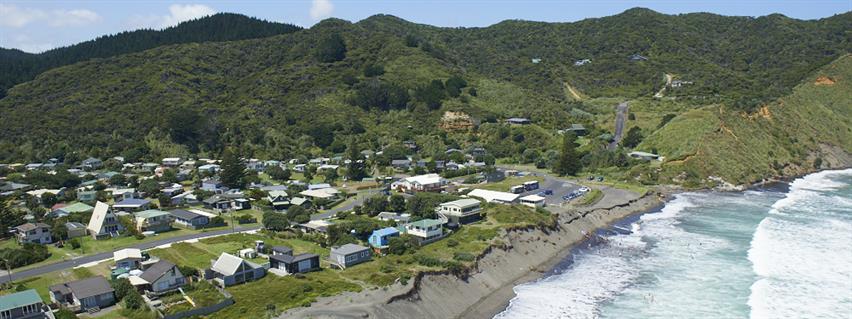 Port Waikato overview