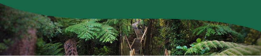 Find out more about the Nature theme in the Blueprints