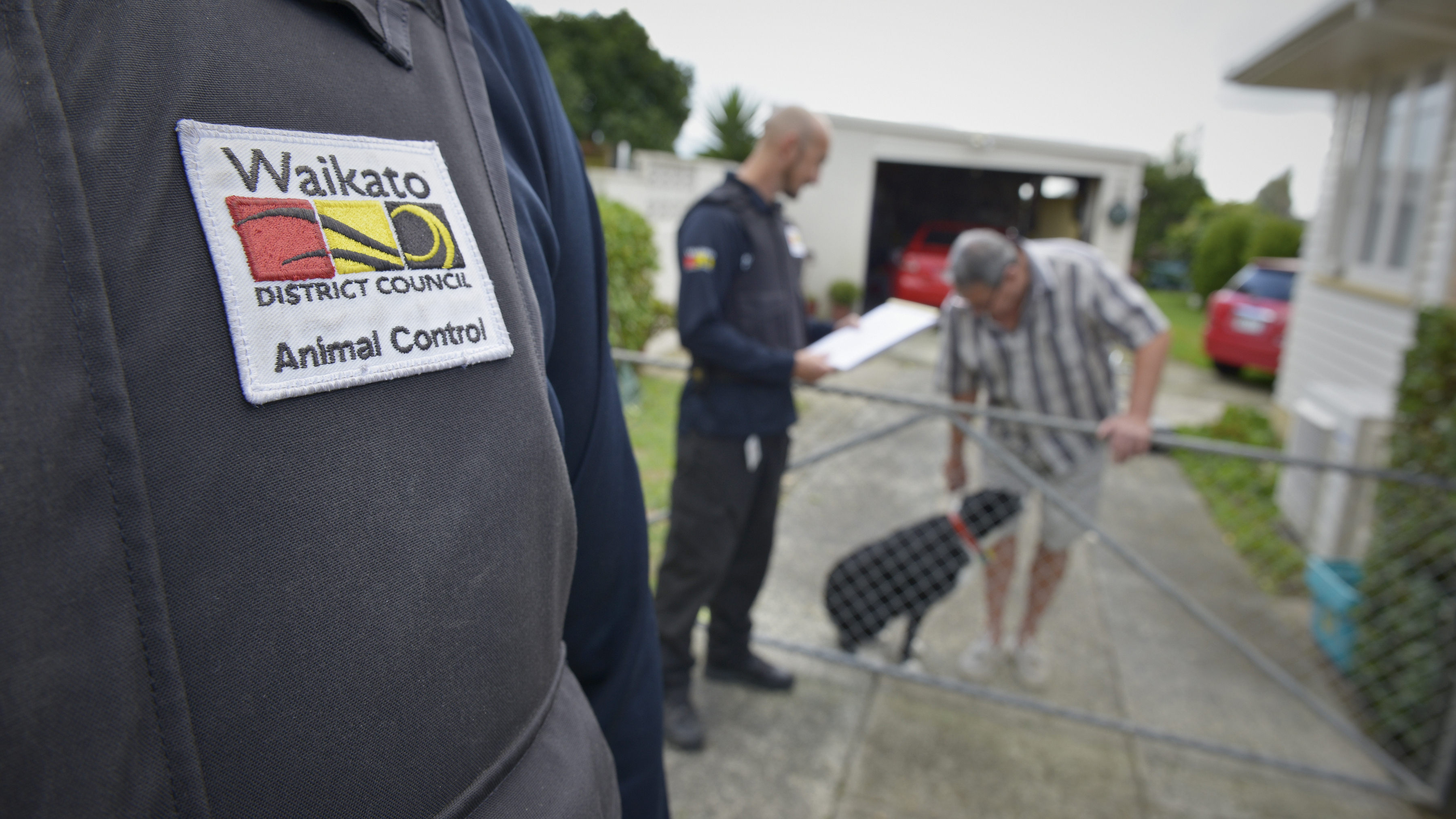 Delegations - animal control