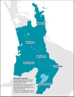 Principle iwi groups