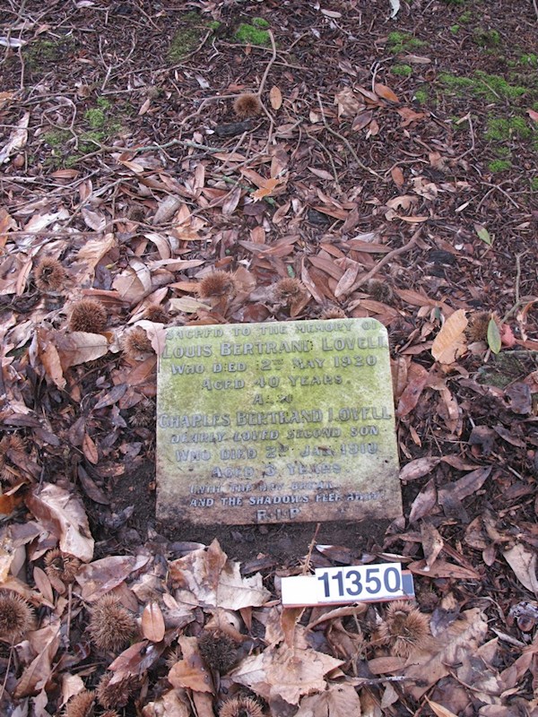 Sacred to the memory of Louis Bertrand Lovell who died 12th May 1920 aged 40 years ? Sacred to the memory of Louis Bertrand Lovell who died 12th May 1920 aged 40 years : Lovell, Louise Bertrand