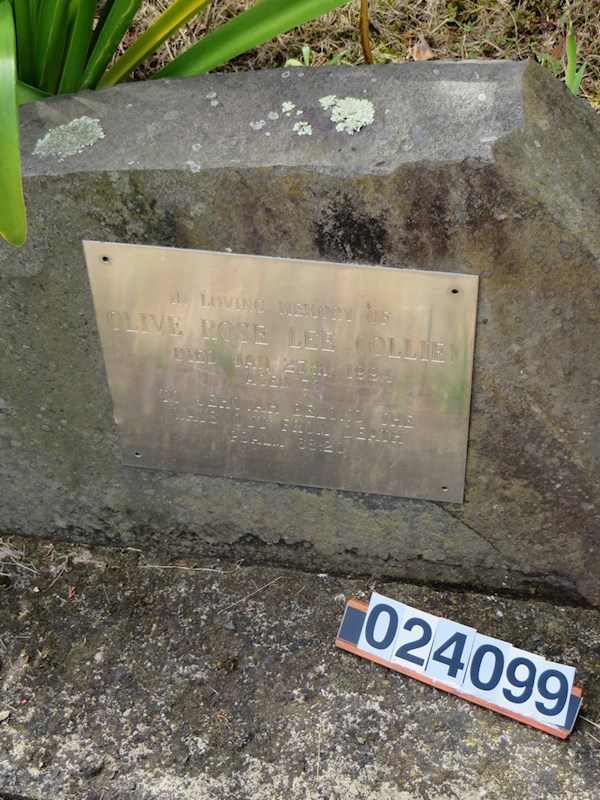 IN Loving Memory of Olive Rose Lee (Collie) died Jan 27th 1994 aged 73 to Jehovah belong the ways out from death Psalm 68:20 ? IN Loving Memory of Olive Rose Lee (Collie) died Jan 27th 1994 aged 73 to Jehovah belong the ways out from death Psalm 68:20 : Lee, Olive Rose